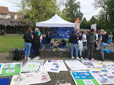 Bild