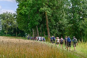 Ab April können sich Wanderinteressierte zu geführten Touren durch alle 13 Kommunen im Kreis Gütersloh anmelden und dort sehenswerte Strecken und spannende Naturräume kennenlernen.