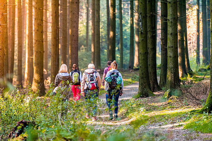 Foto Wandern