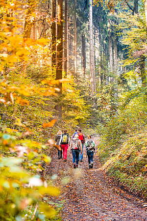Naturerlebnisse im Kreis Gütersloh: Die kostenfreie Wanderreihe ‚NATUR.PUR‘ startet am 01. Juni.