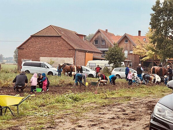 Nachhaltige Projekte, wie hier die Anlage eines Kartoffelackers im Verler Westen, sind beispielsweise durch Programm ‚2.000 x 1.000 für das Engagement‘ förderfähig. 