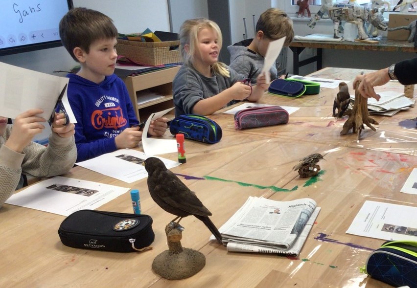 Grundschüler:innen lernen heimische Vögel kennen