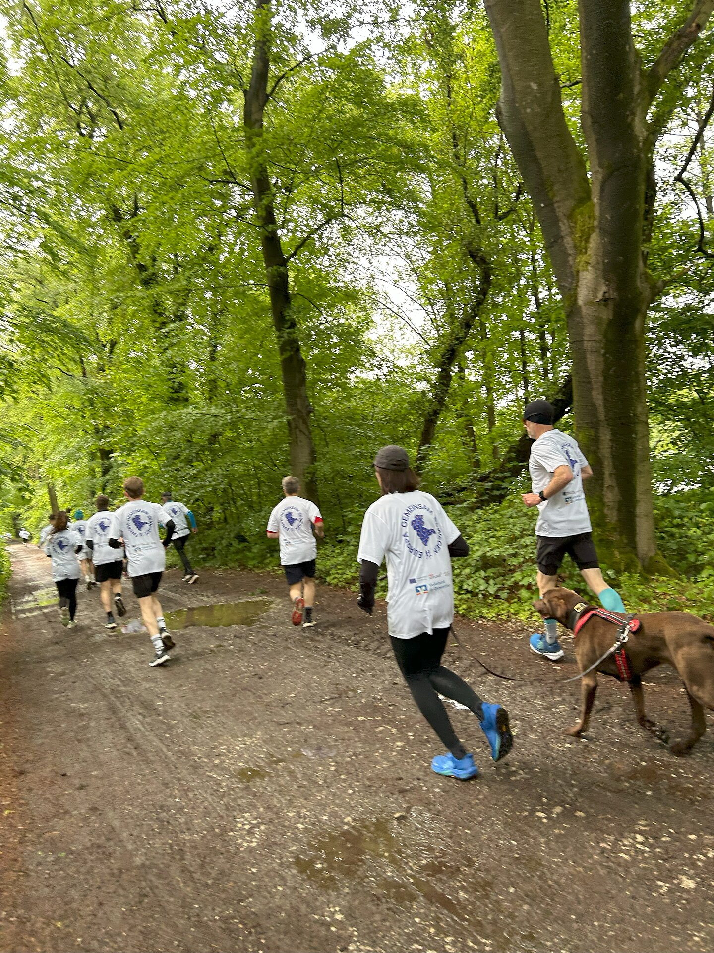 Die Läuferinnen und Läufer beim Europa-Lauf Halle (Westf.)