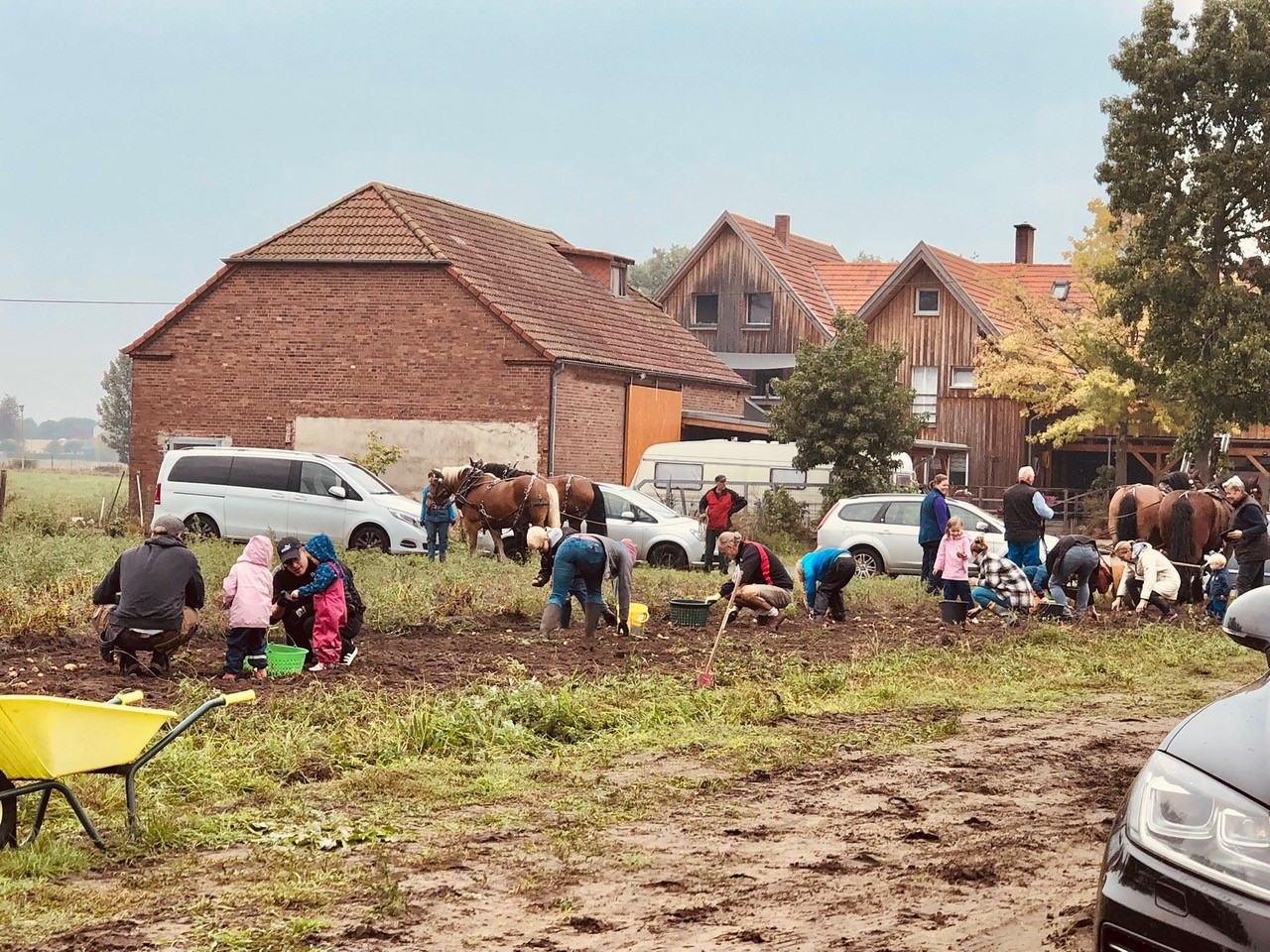Nachhaltige Projekte, wie hier die Anlage eines Kartoffelackers im Verler Westen, sind beispielsweise durch Programm ‚2.000 x 1.000 für das Engagement‘ förderfähig. 