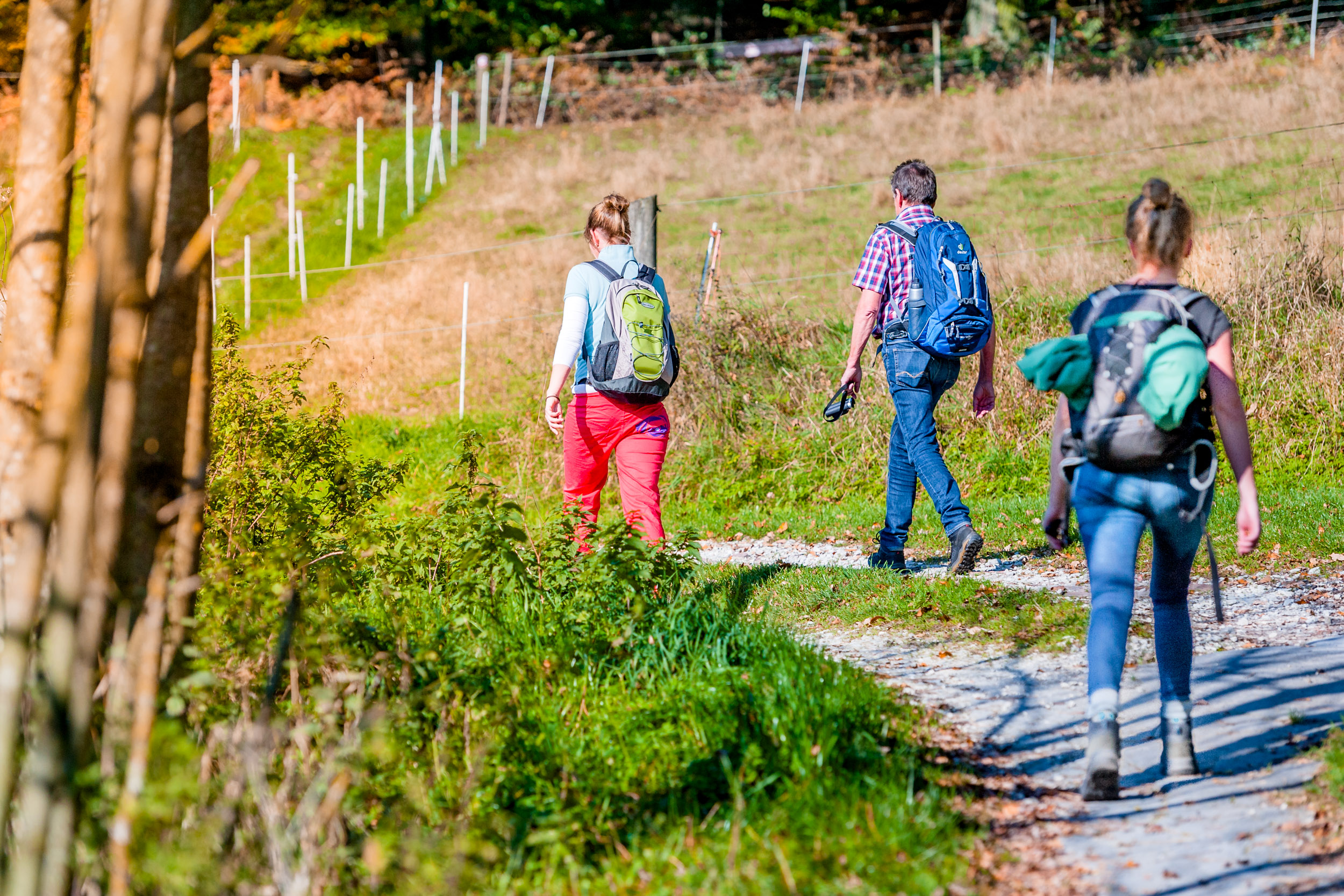 Kurz-, Halbtages- oder Tageswanderungen: Die Wanderkarte der pro Wirtschaft GT präsentiert 35 Wanderstrecken im Kreis Gütersloh. Foto: Mario Wallenfang / pro Wirtschaft GT
