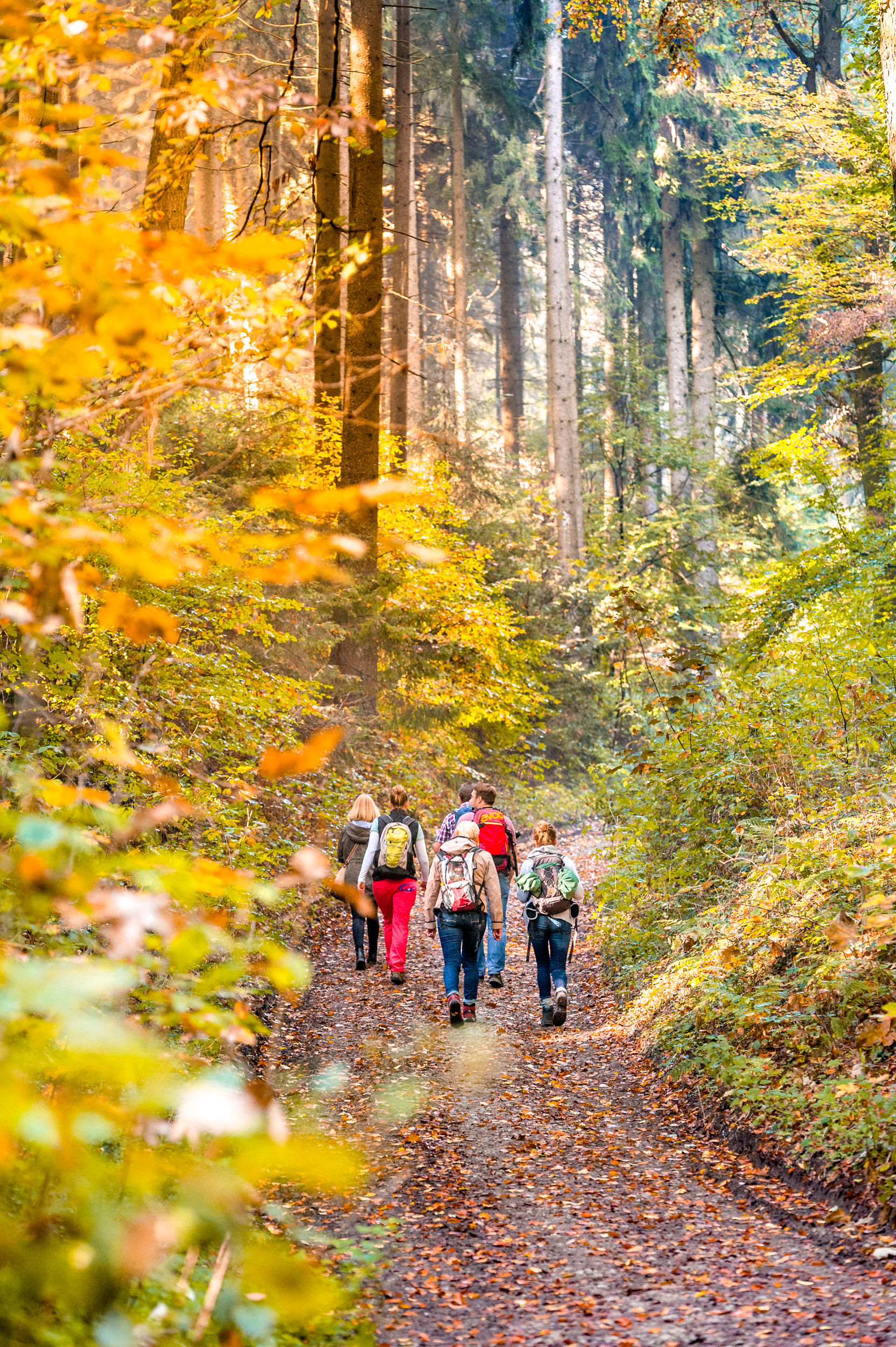 Naturerlebnisse im Kreis Gütersloh: Die kostenfreie Wanderreihe ‚NATUR.PUR‘ startet am 01. Juni.
